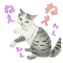 Cat town-Neargo sticker #15511945