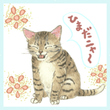 Cat town-Neargo sticker #15511949