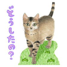 Cat town-Neargo sticker #15511950