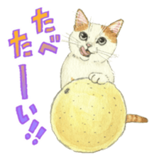 Cat town-Neargo sticker #15511951