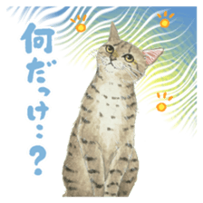 Cat town-Neargo sticker #15511955