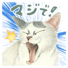 Cat town-Neargo sticker #15511957