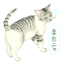 Cat town-Neargo sticker #15511958