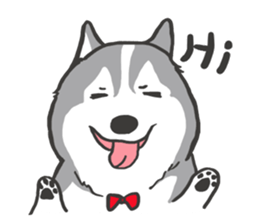 HAHA the Miracle Husky sticker #15512930