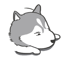HAHA the Miracle Husky sticker #15512932