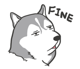 HAHA the Miracle Husky sticker #15512933