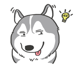 HAHA the Miracle Husky sticker #15512934