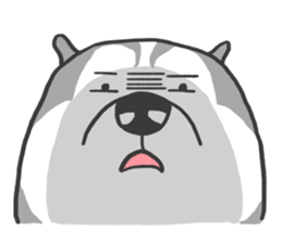 HAHA the Miracle Husky sticker #15512935