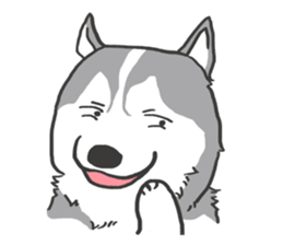 HAHA the Miracle Husky sticker #15512936