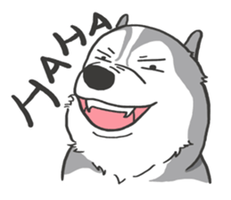 HAHA the Miracle Husky sticker #15512937