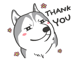 HAHA the Miracle Husky sticker #15512939