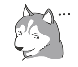 HAHA the Miracle Husky sticker #15512940