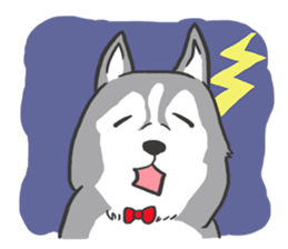 HAHA the Miracle Husky sticker #15512942