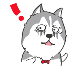 HAHA the Miracle Husky sticker #15512943