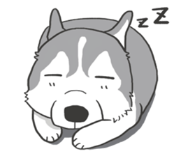 HAHA the Miracle Husky sticker #15512945