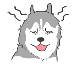 HAHA the Miracle Husky sticker #15512948