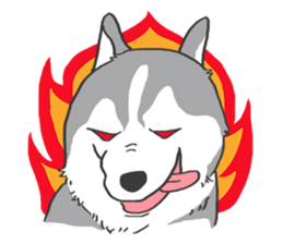 HAHA the Miracle Husky sticker #15512949