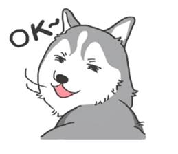 HAHA the Miracle Husky sticker #15512952