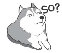 HAHA the Miracle Husky sticker #15512957