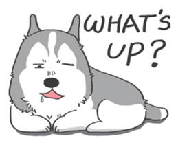 HAHA the Miracle Husky sticker #15512959