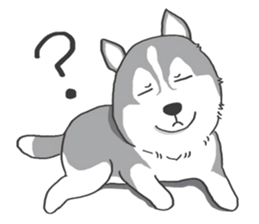 HAHA the Miracle Husky sticker #15512960