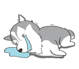HAHA the Miracle Husky sticker #15512961
