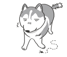 HAHA the Miracle Husky sticker #15512964