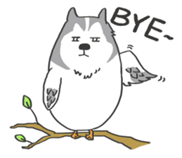 HAHA the Miracle Husky sticker #15512965