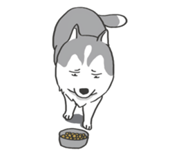 HAHA the Miracle Husky sticker #15512967