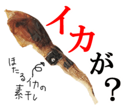 Firefly squid(dried fish) sticker #15513259