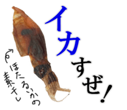 Firefly squid(dried fish) sticker #15513260