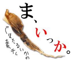 Firefly squid(dried fish) sticker #15513261