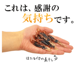 Firefly squid(dried fish) sticker #15513263