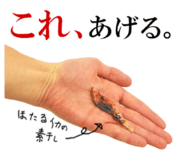 Firefly squid(dried fish) sticker #15513264