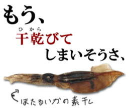 Firefly squid(dried fish) sticker #15513266