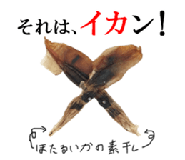 Firefly squid(dried fish) sticker #15513267
