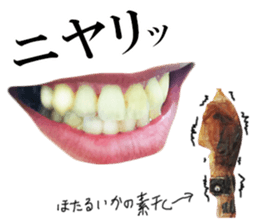 Firefly squid(dried fish) sticker #15513270