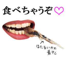 Firefly squid(dried fish) sticker #15513271