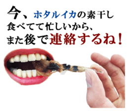 Firefly squid(dried fish) sticker #15513272