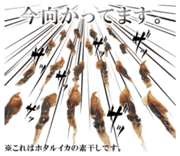 Firefly squid(dried fish) sticker #15513273