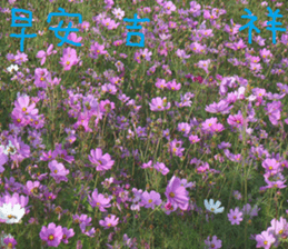 Perfect sticker #15514954