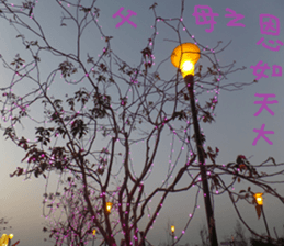 Perfect sticker #15514956