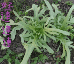 Perfect sticker #15514958