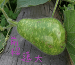 Perfect sticker #15514959