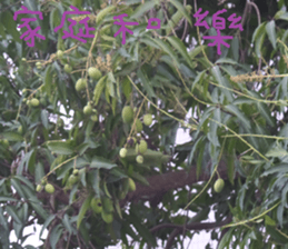 Perfect sticker #15514960