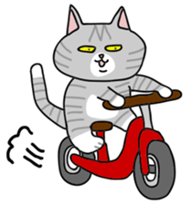 Gray bean cat sticker #15515626