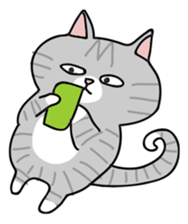 Gray bean cat sticker #15515633