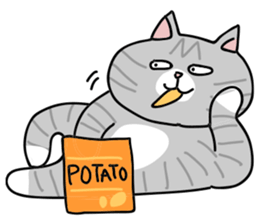 Gray bean cat sticker #15515634