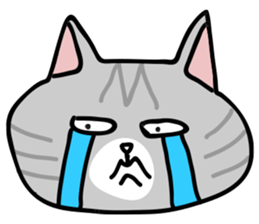 Gray bean cat sticker #15515649
