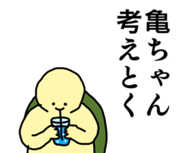 Name sticker Kamechan can be used sticker #15516001